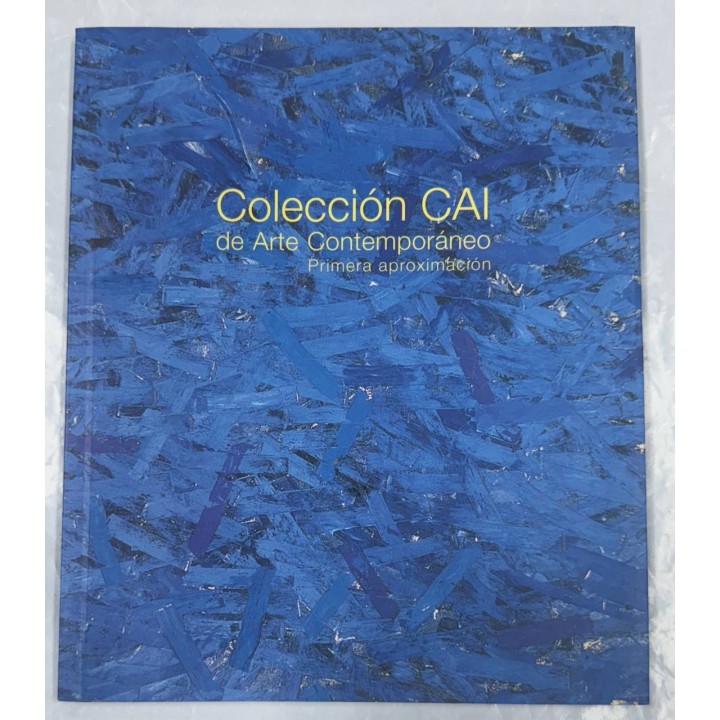 COLECCIÓN CAI DE ARTE CONTEMPORÁNEO PRIMERA APROXIMACIÓN